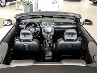 Ford Mustang (CZG)(2015->) - Cabrio/Roadster - Grau - Neuwagen - Bild 10