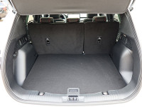 Ford Kuga Full-Hybrid FHEV - SUV/Off-road - Weiss - Neuwagen - Bild 10
