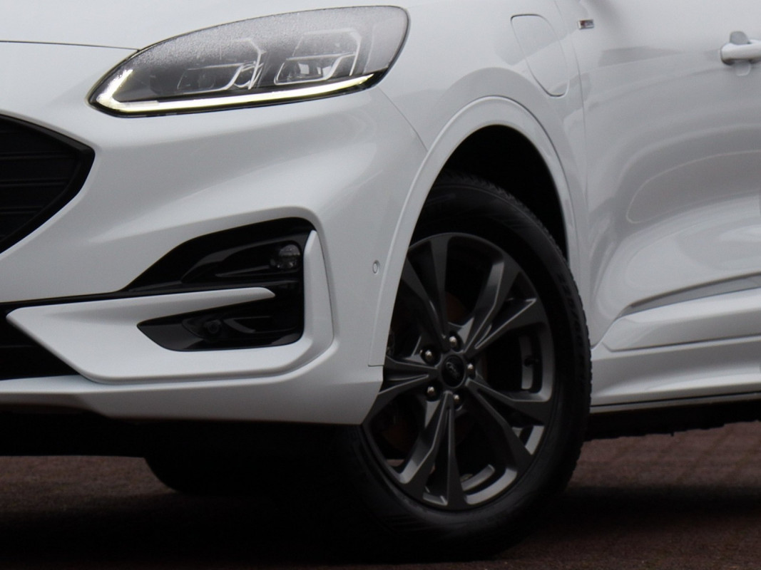 Ford Kuga - SUV/Off-road - Weiss - Gebrauchtwagen - Bild 6