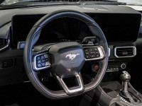 Ford Mustang GT Cabrio - Cabrio/Roadster - Grau - Neuwagen - Bild 9