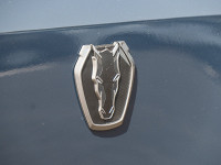 Ford Mustang Fastback Dark Horse - Sportwagen/Coupé - Blau - Gebrauchtwagen - Bild 15