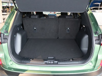 Ford Kuga - SUV/Off-road - Grün - Neuwagen - Bild 11